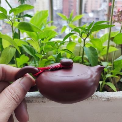 TIANHUA0609's profile picture. 币圈一年，人间十载