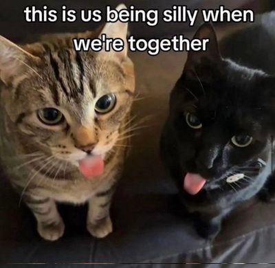 ksable666's profile picture. 18+ only!! Call me Sable, I'm trans. 32 yrs old queer, polyamorous, padded punk rock princess. 🤘🏾😋🖤