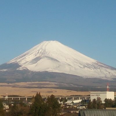 yusukeshino's profile picture. 