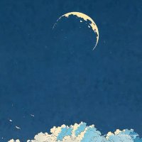 Sheblaw Man (@sheblawm74059) 's Twitter Profile