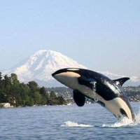Sherry (@sherryg42452382) 's Twitter Profile