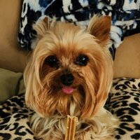 Perry Greenway (@tpg21961) 's Twitter Profile