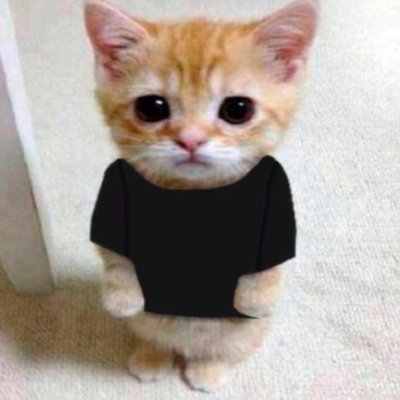 steven09797235's profile picture. Programador
