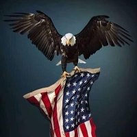 Al-king (@1920_nn) 's Twitter Profile
