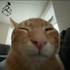 Tarzab_'s profile picture. cweI
