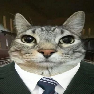 rayyan4367's profile picture. 