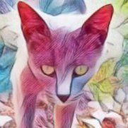 Author Pishi Pooch (@thecatonthemap) 's Twitter Profile