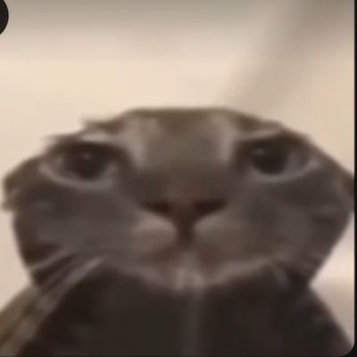 ᴋɪʀʏʟɪʀʏʟɪʟʏʟᴇʀᴀʟᴇʀᴀさんのプロフィール画像