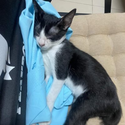 Weiwei0920804's profile picture. 