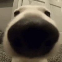 SKY☁️ Rafayel enjoyer (@thefairsky) 's Twitter Profile