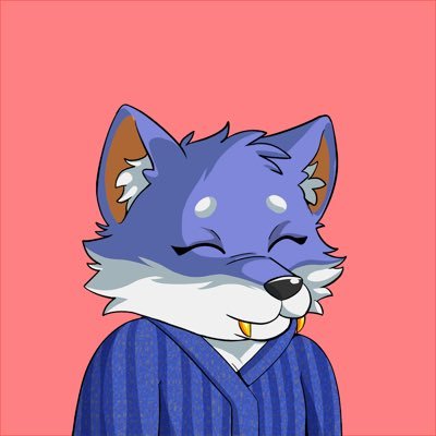 faicelerrouh's profile picture. No risk No story