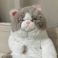 ゆい (@mocchii_memo) 's Twitter Profile