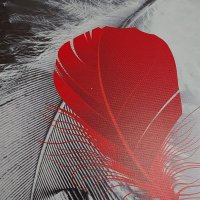 Aroba F. M. (@folmat) 's Twitter Profile