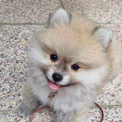 PbnKさんのプロフィール画像