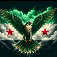 Marwan Homsi (@mahomsi2) 's Twitter Profile