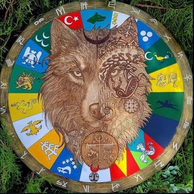 celikmit58's profile picture. 