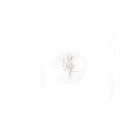 Heidi Moru (@heidimoru) 's Twitter Profile Photo