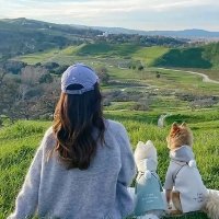 Anne (@sambrodie189) 's Twitter Profile