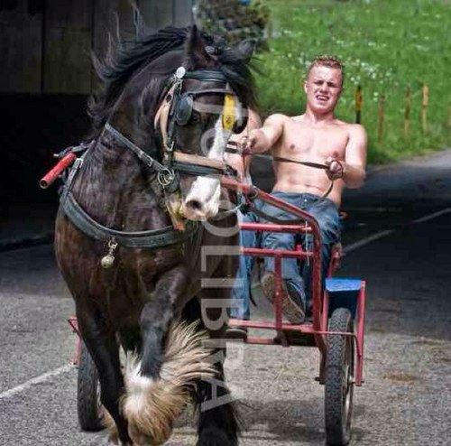 gypsyBoyRoss's profile picture. im a irish gypsy traveller lad                       !