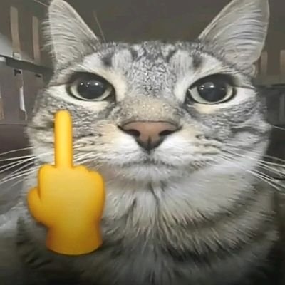 GMoehammad44229's profile picture. auuuu