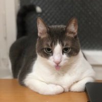 ponçik-pırtık-chucky the muhteşem üçlü (@hicte_bilene) 's Twitter Profile