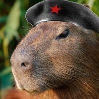 Celula Sahra Wagenknecht (@shostakovo) 's Twitter Profile