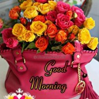 Krishna (@krishanasaini38) 's Twitter Profile