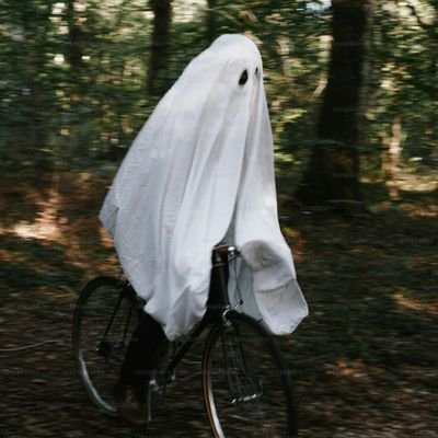 Paranormal Investigator/Researcher.
https://t.co/k9KWMpm7Y0