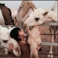 ليانالسعدᥫ᭡. (@_layanoh) 's Twitter Profile Photo ليانالسعدᥫ᭡. (@_layanoh) 's Twitter Profile Photo