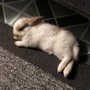 Denis Colindres - @DenisColin5301 - Twitter