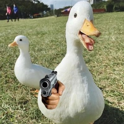 twitch : https://t.co/ucs39kgguq
renewable energy duck