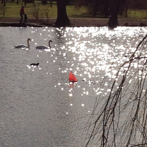 DonCompo's profile picture. 