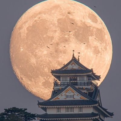 求めよ、そうすれば与えられるであろう。捜せ、そうすれば見つかるであろう。門をたたけ、そうすれば開かれるであろう。