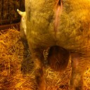 Benjamin HARLAND - @flyingben76 - Twitter