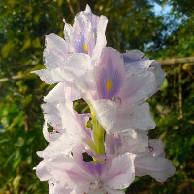 Saidurkha's profile picture. 