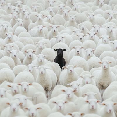 nze_inno's profile picture. I love you African I love you Africcaaaaaaa