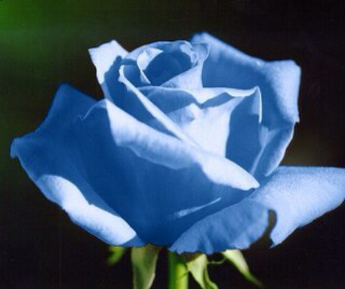 mazito1972's profile picture. 