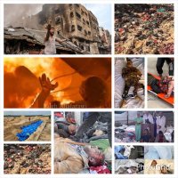 ابو البتول مقبل بديل (@mqblabw87471) 's Twitter Profile