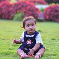 Radha🦭/acc (@radhakhed) 's Twitter Profile