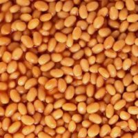 spillingthebeans 🇮🇱🇬🇧 (@angryg00ner) 's Twitter Profile