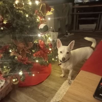 Elizabe82282887's profile picture. 