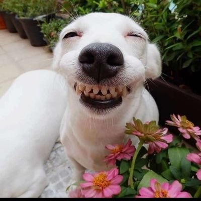 allan1128805's profile image