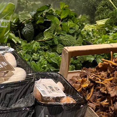 NetworkingGaga's profile picture. Fan of Gaga. Spreading positivity and good energy 🥰 Beyonce Ender