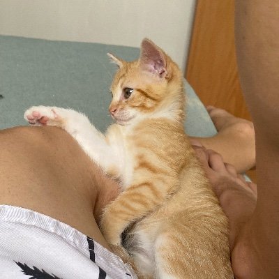 erickpaocomovo's profile picture. so if hating me helps you love yourself
do your worst, baby, gimme hell