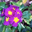 Jane Kruse - @JT_Kruse - Twitter