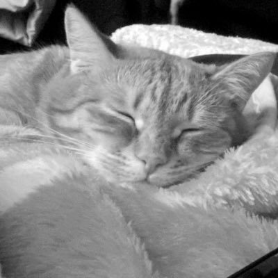 narumisan2525's profile picture. 30代妊婦｜保育学生|猫と麺と本屋さん大好き｜映画鑑賞｜ #初マタ #保育学生 #学生ママ #通信大学生 #保育学生さんと繋がりたい #初マタさんと繋がりたい