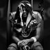 Ravens and Orioles (@bmoreflocknews) Twitter profile photo Ravens and Orioles (@bmoreflocknews) Twitter profile photo