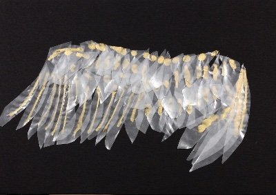 Usul1097505's profile picture. 