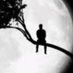 7رف : (@_saakn) Twitter profile photo 7رف : (@_saakn) Twitter profile photo