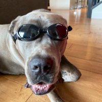 Barb Markiw (@bmarkiw) 's Twitter Profile